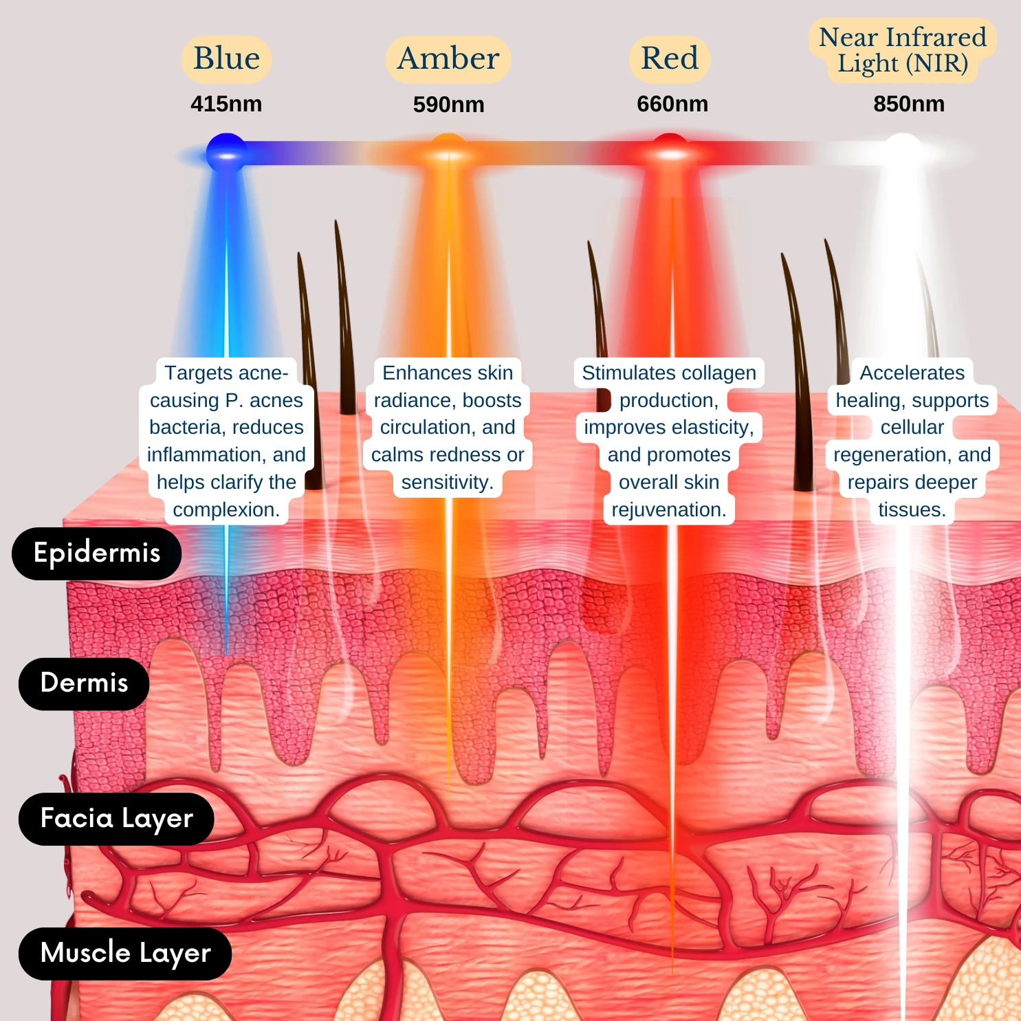 PolyLuronic™ Jelly Masks by Luminous Skin Lab|ilumilux